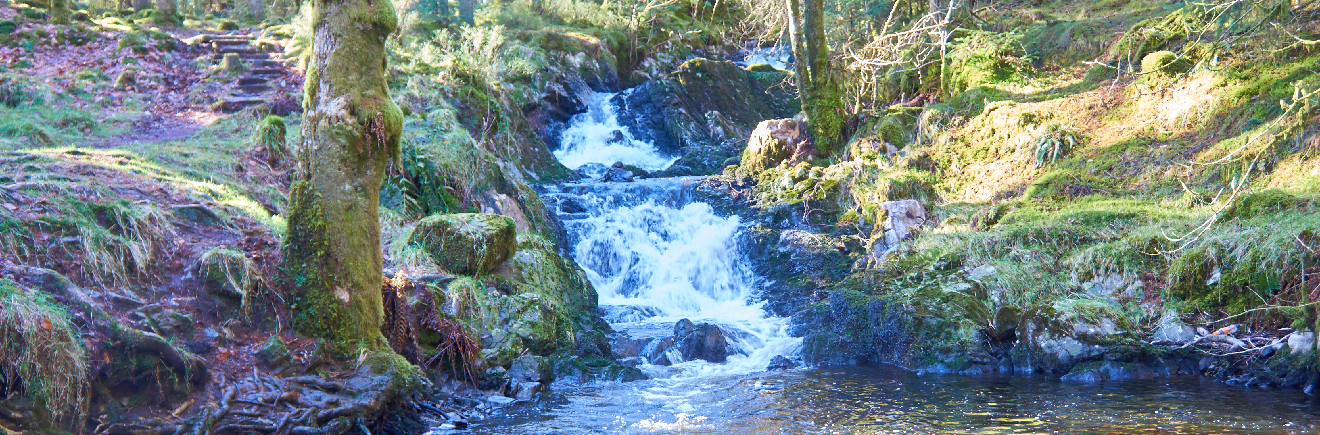 Dalbeatte Castle Douglas Walks