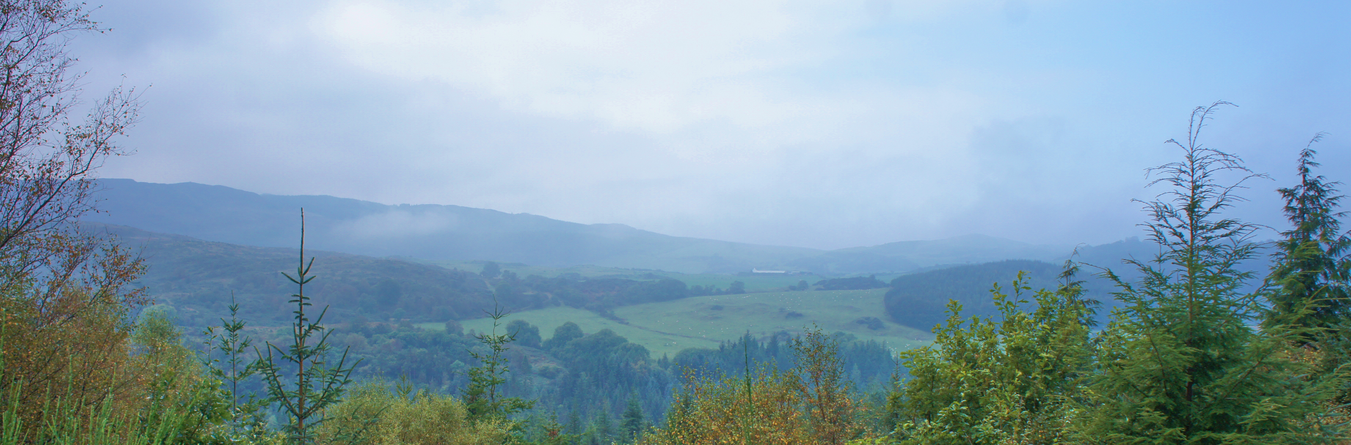 Dalbeatte Castle Douglas Walks